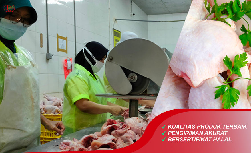 Daging Ayam Blitar Jatinom Indah Group