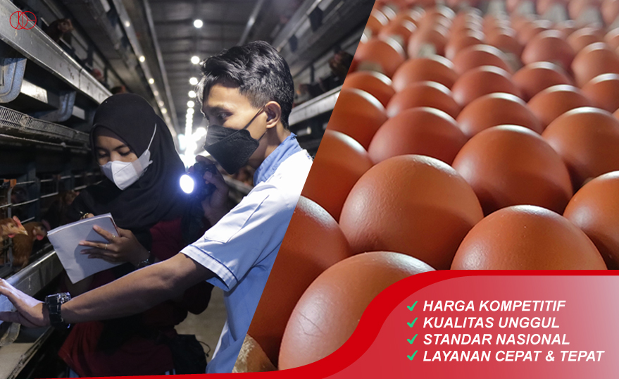 Telur Ayam Segar Berkualitas Jatinom Indah