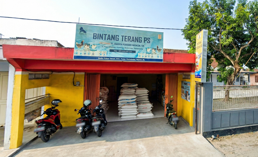 Toko Pakan Tulungagung Terlengkap - BINTANG TERANG PS