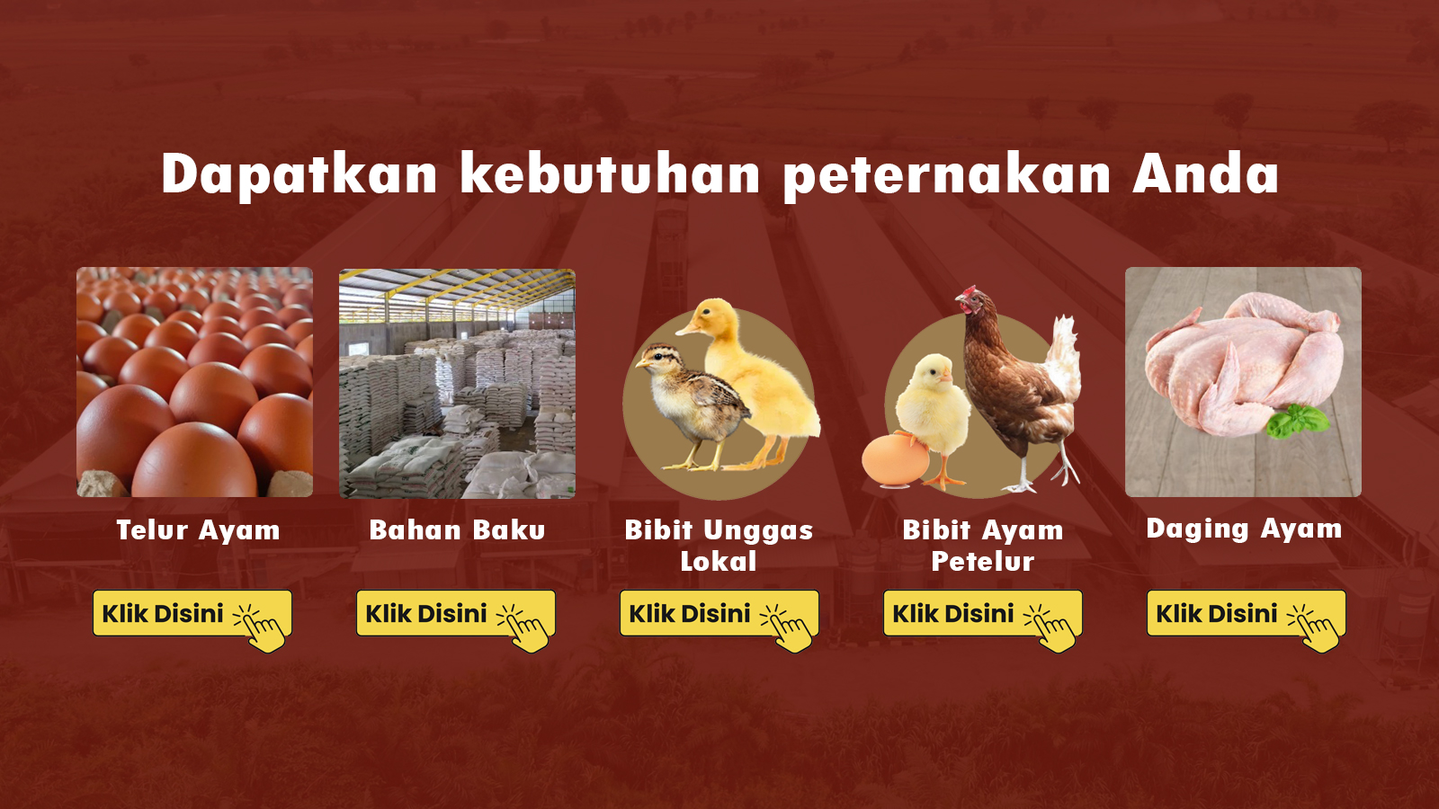 Produk Peternakan